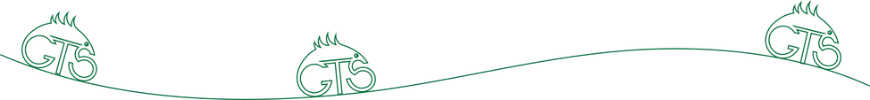 Green Traffic Software Logos